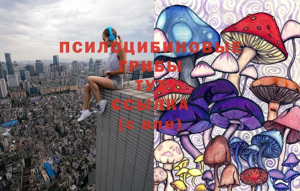 стафф Заволжск