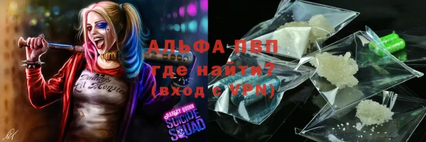 винт Ельня