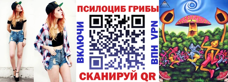 Купить закладки  Фурманов  Псилоцибиновые грибы прущие грибы 