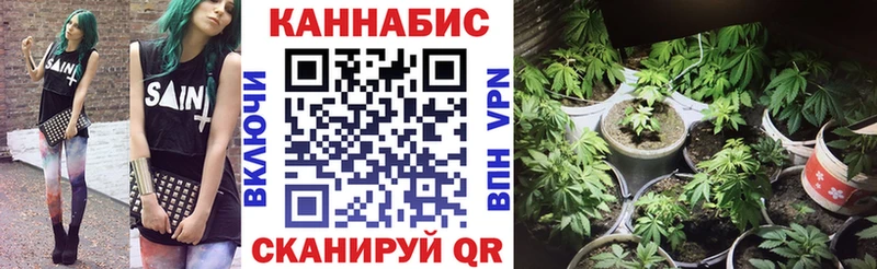 Бошки марихуана Bruce Banner  Купить  Фурманов 